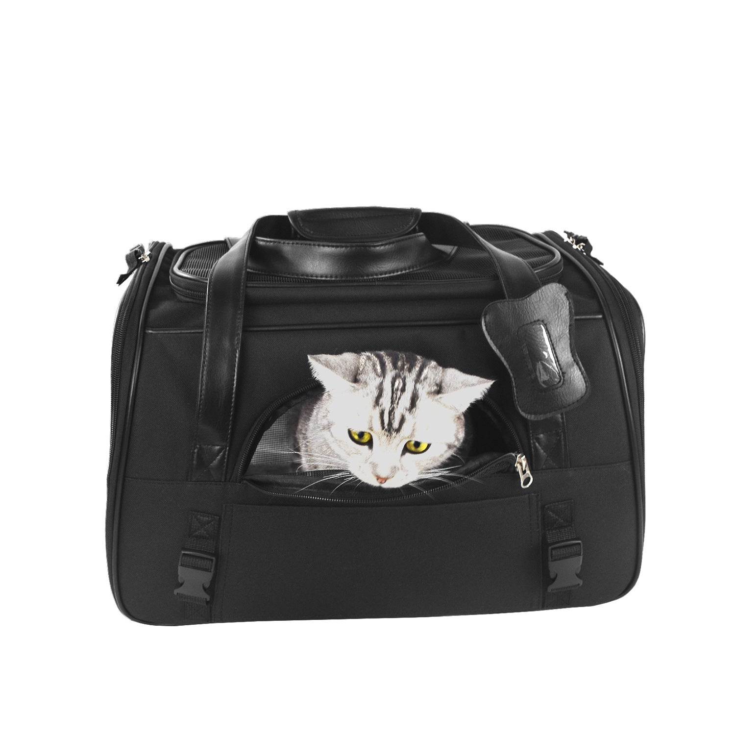 Traveling with Your Pet Made Easy